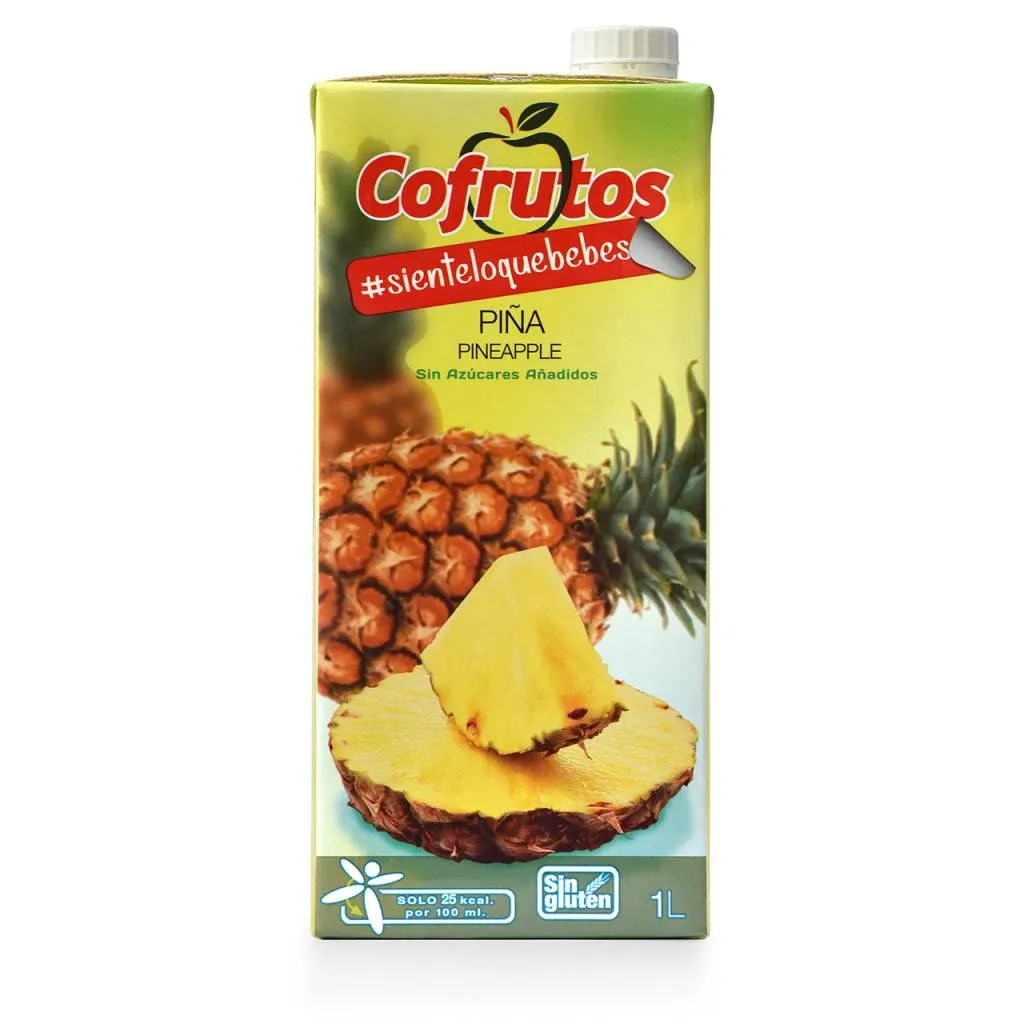 COFRUTOS ZUMO PIÑA BRIK 1 LITRO C/12